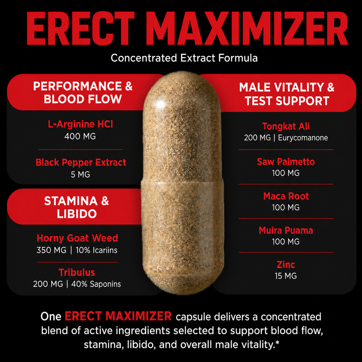 ERECT MAXIMIZER - Hardness & Libido Supplement - California Made